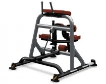 Сгибание ног BH FITNESS Leg Curl PL Line PL170